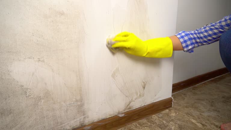  Nanakuli, HI Mold Removal Pros