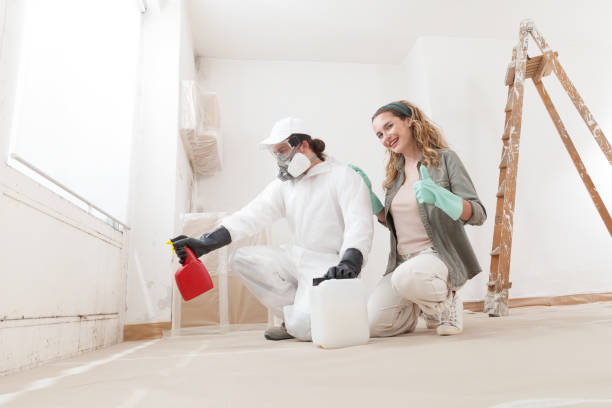 Best HVAC Mold Inspection and Cleaning  in Nanakuli, HI