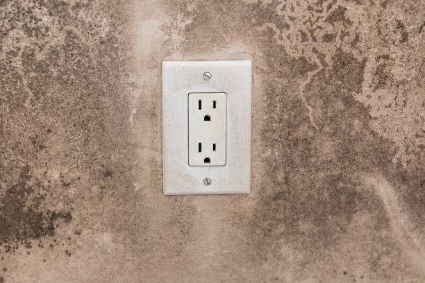 Best Residential Mold Inspection & Testing  in Nanakuli, HI