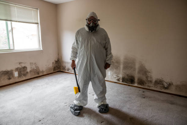Best Crawl Space Mold Remediation  in Nanakuli, HI